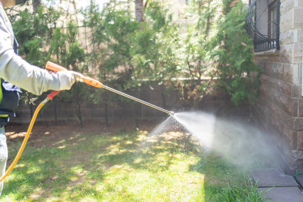 Best Outdoor Pest Control  in Corunna, MI